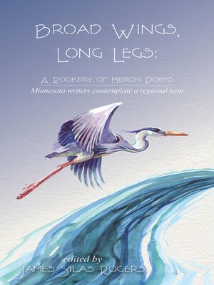 cover image of Broad Wings, Long Legs